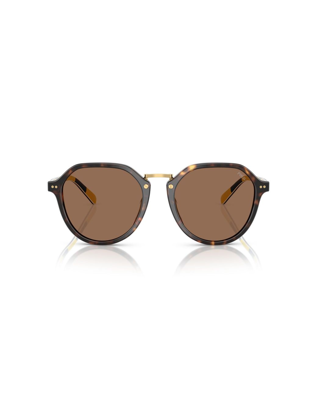 Polo Ralph Lauren Black Ph4223U 500373 Sunglasses Acetate Pantos Normal for men