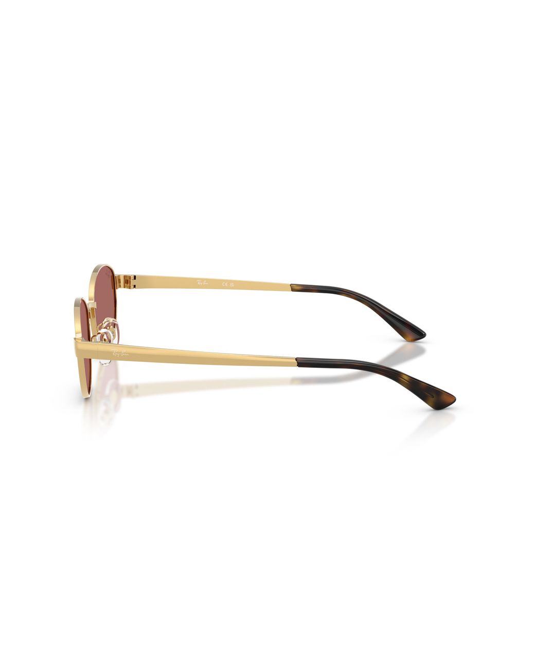 Ray-Ban Black Ray