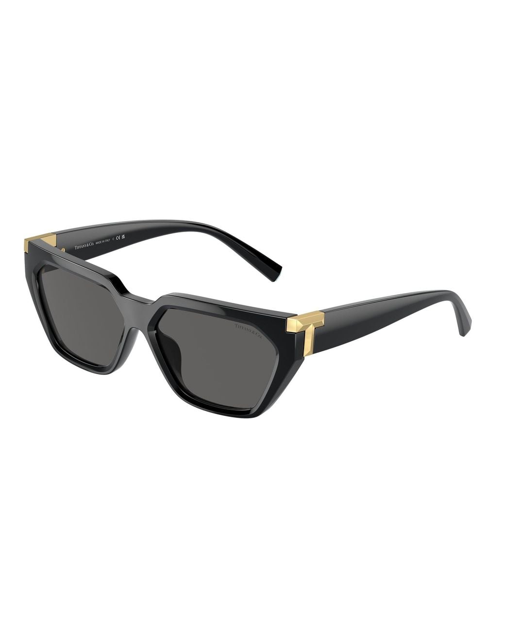 Tiffany & Co Black Tf4205U 8001S4 Sunglasses Injected Geometric Normal Shaded