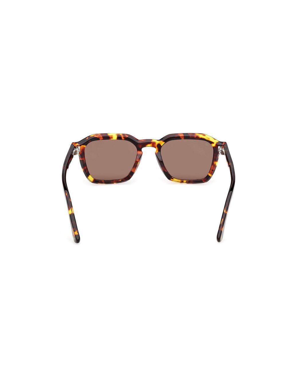 Web Black We0392 55E Sunglasses Acetate Squared Normal for men