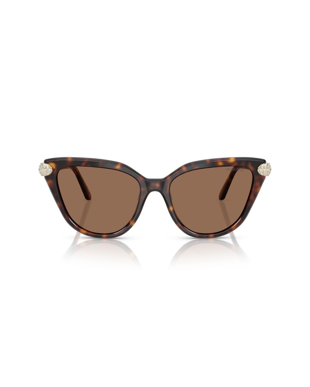 Swarovski Black Sk6039 100273 Sunglasses Acetate Cat Eye Normal