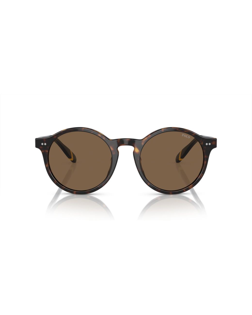 Polo Ralph Lauren Black Ph4204U 500373 Sunglasses Acetate Pantos Normal for men