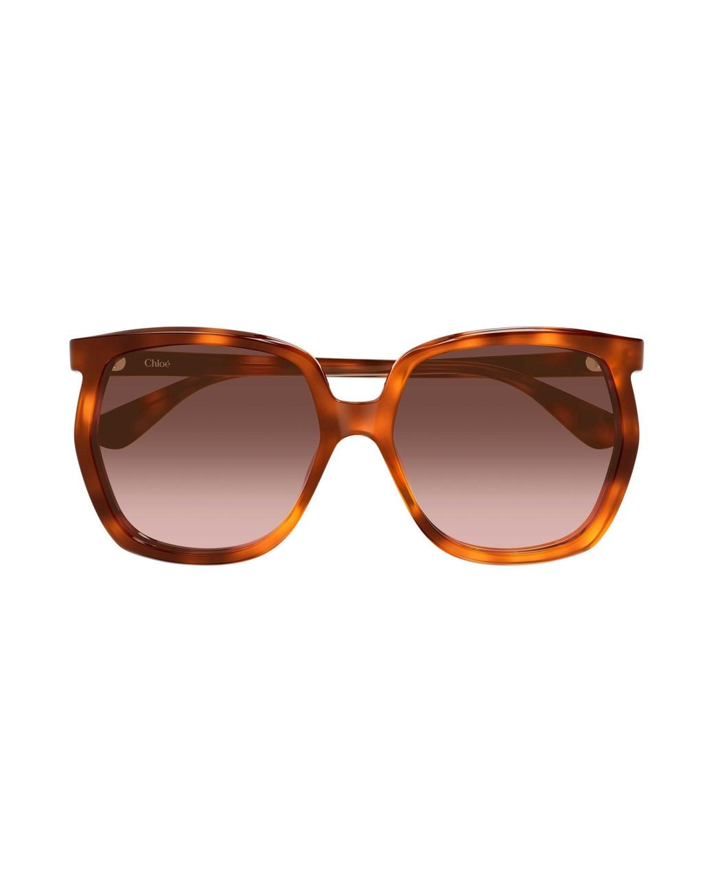 Chloé Black Ch0389S 002 Sunglasses Acetate Copper Squared Nuanced