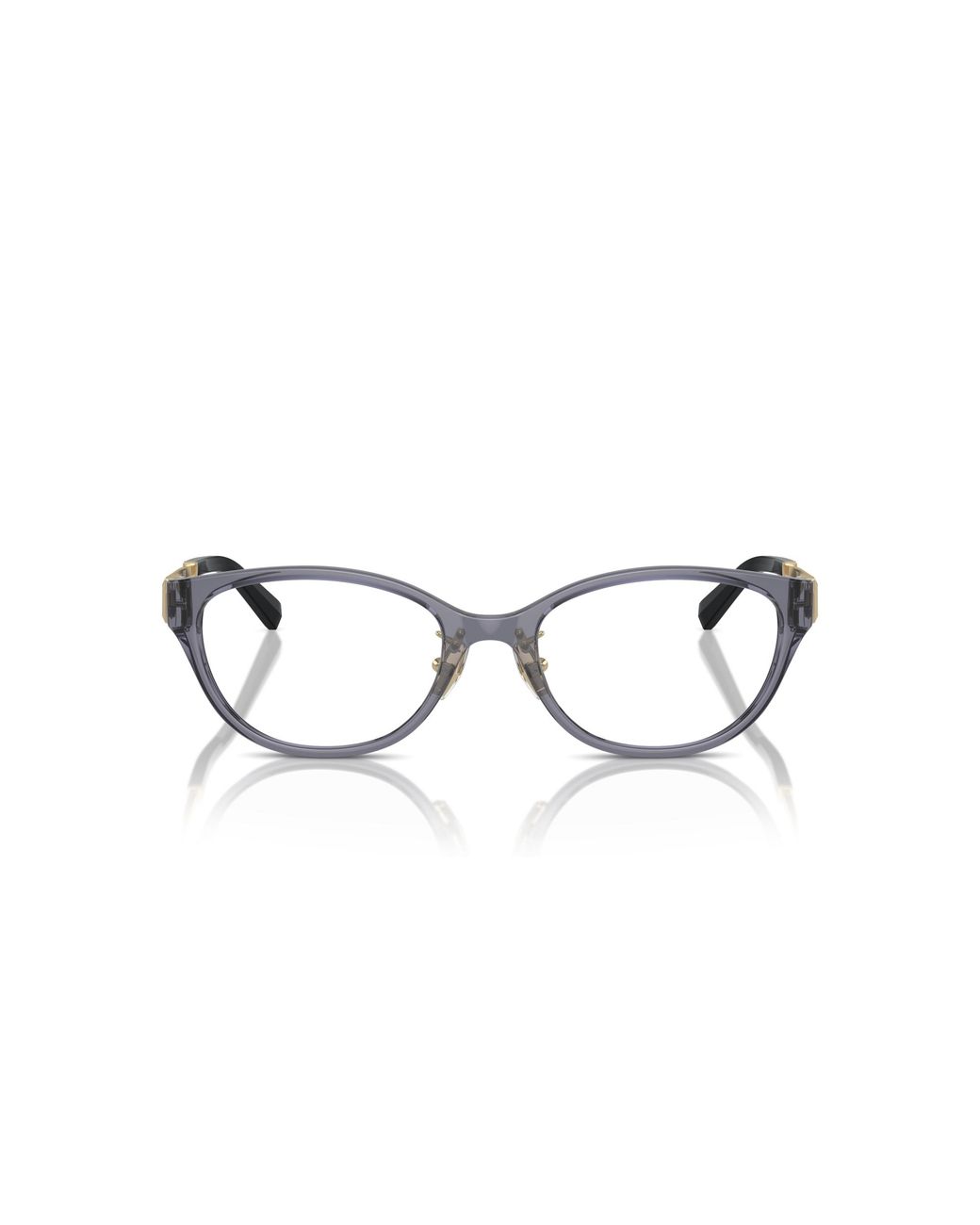 Tiffany & Co Black Tf2252D 8405 Optical Frames Injected Round Normal