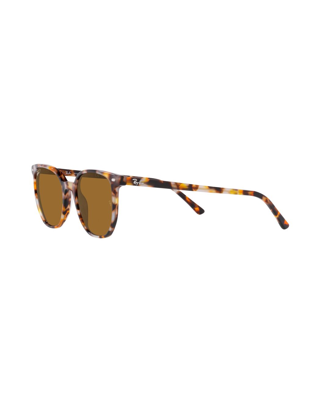Ray-Ban Brown Ray