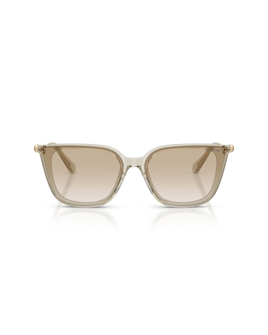 Swarovski Black Sk6054D 300311 Sunglasses Acetate Squared Normal Nuanced
