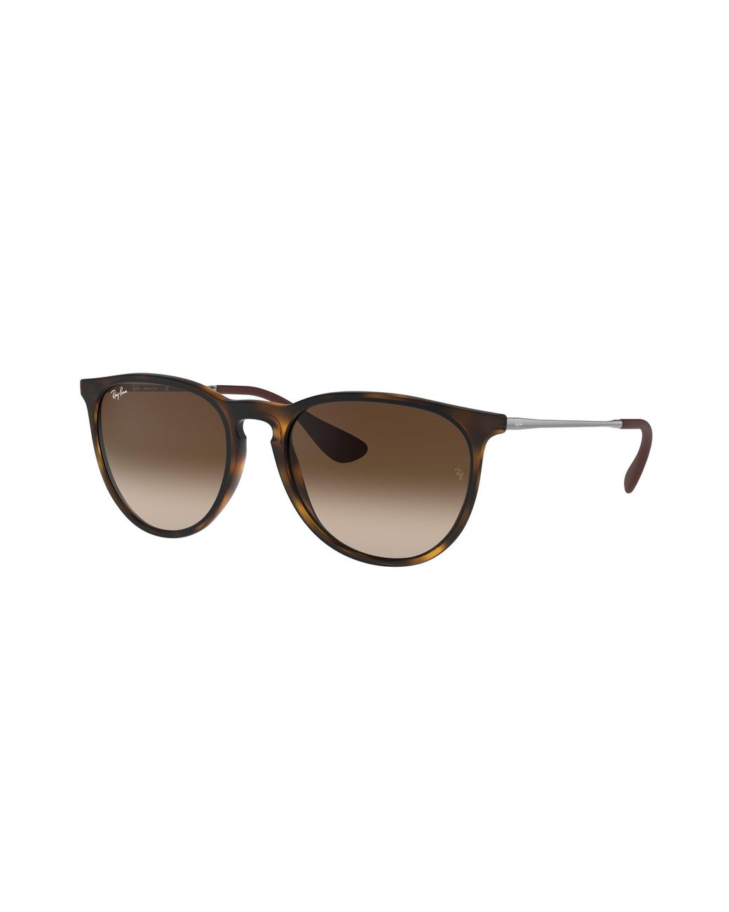 Ray-Ban Black Rb4171 Erika Round Sunglasses