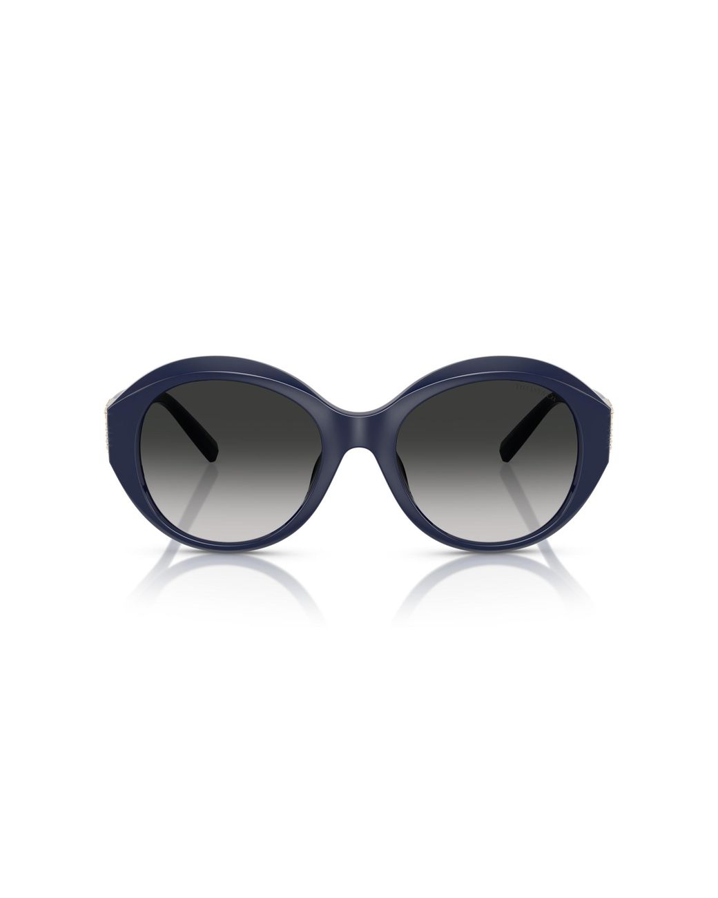 Tiffany & Co Black Tf4227Bu 83963C Sunglasses Injected Round Normal Shaded