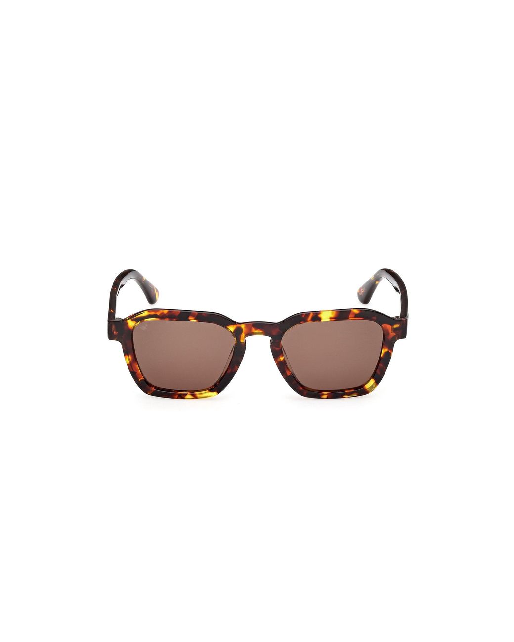 Web Black We0392 55E Sunglasses Acetate Squared Normal for men