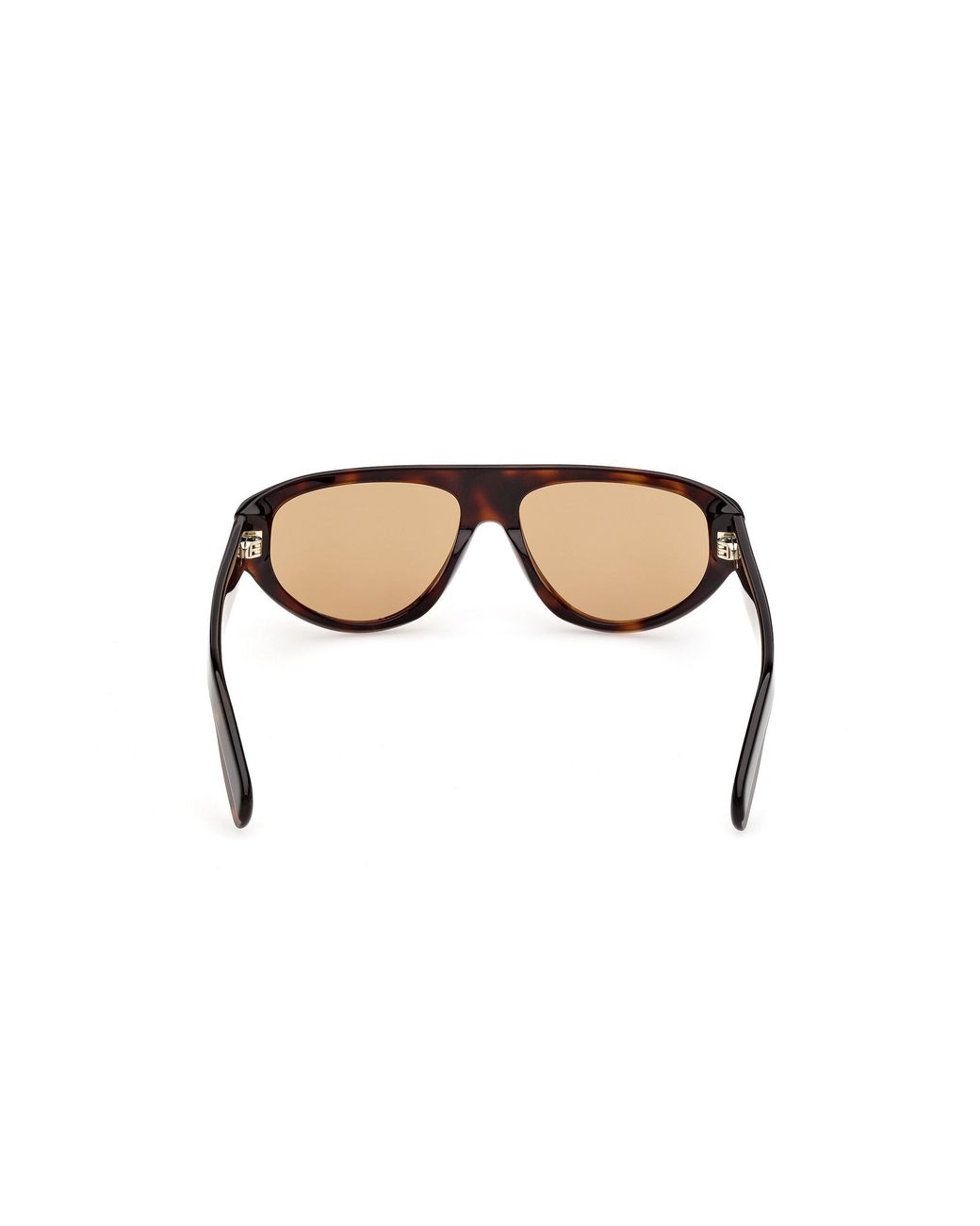 Adidas Originals Black Or0146 53E Sunglasses Acetate Pilot Normal