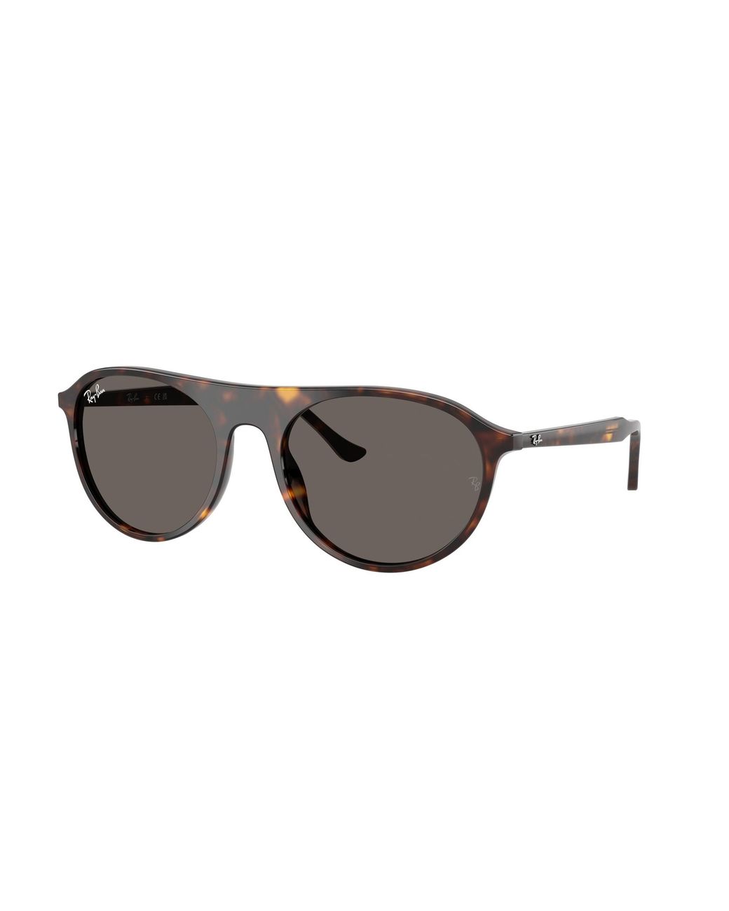 Ray-Ban Black Ray
