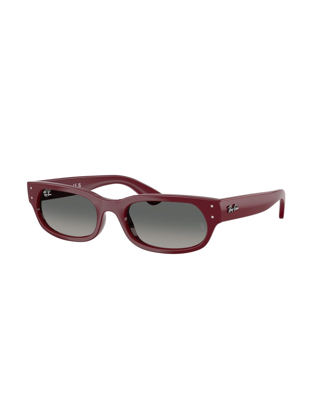 Ray-Ban Black Ray