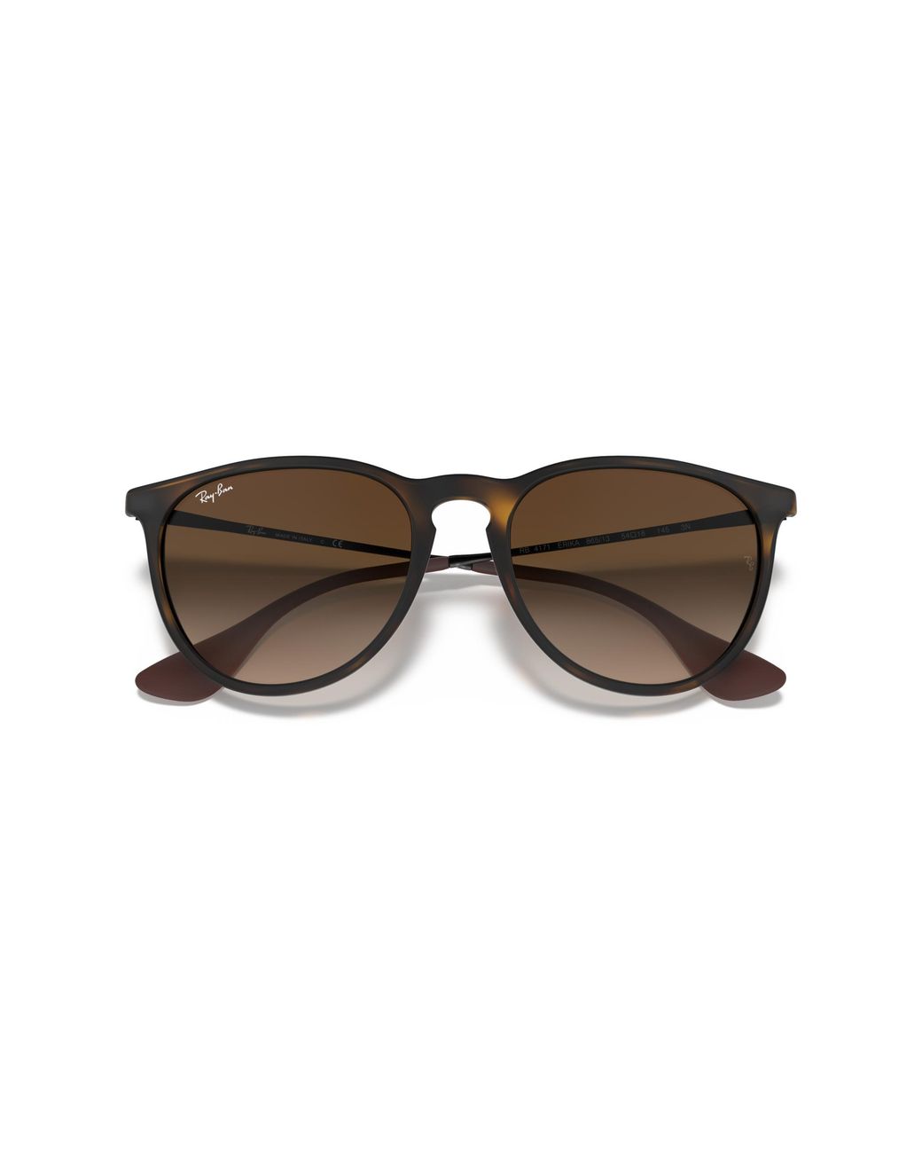 Ray-Ban Black Rb4171 Erika Round Sunglasses