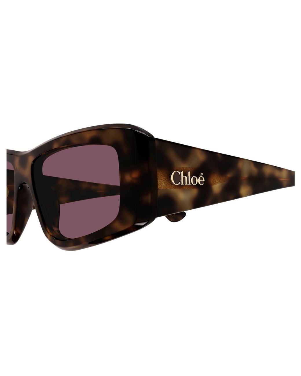 Chloé Black Ch0299S 002 Sunglasses Acetate Squared
