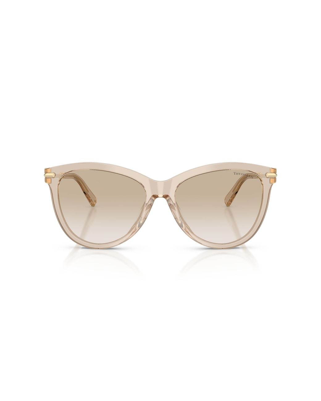 Tiffany & Co Black Tf4258Bu 844511 Sunglasses Acetate Pantos Normal Nuanced