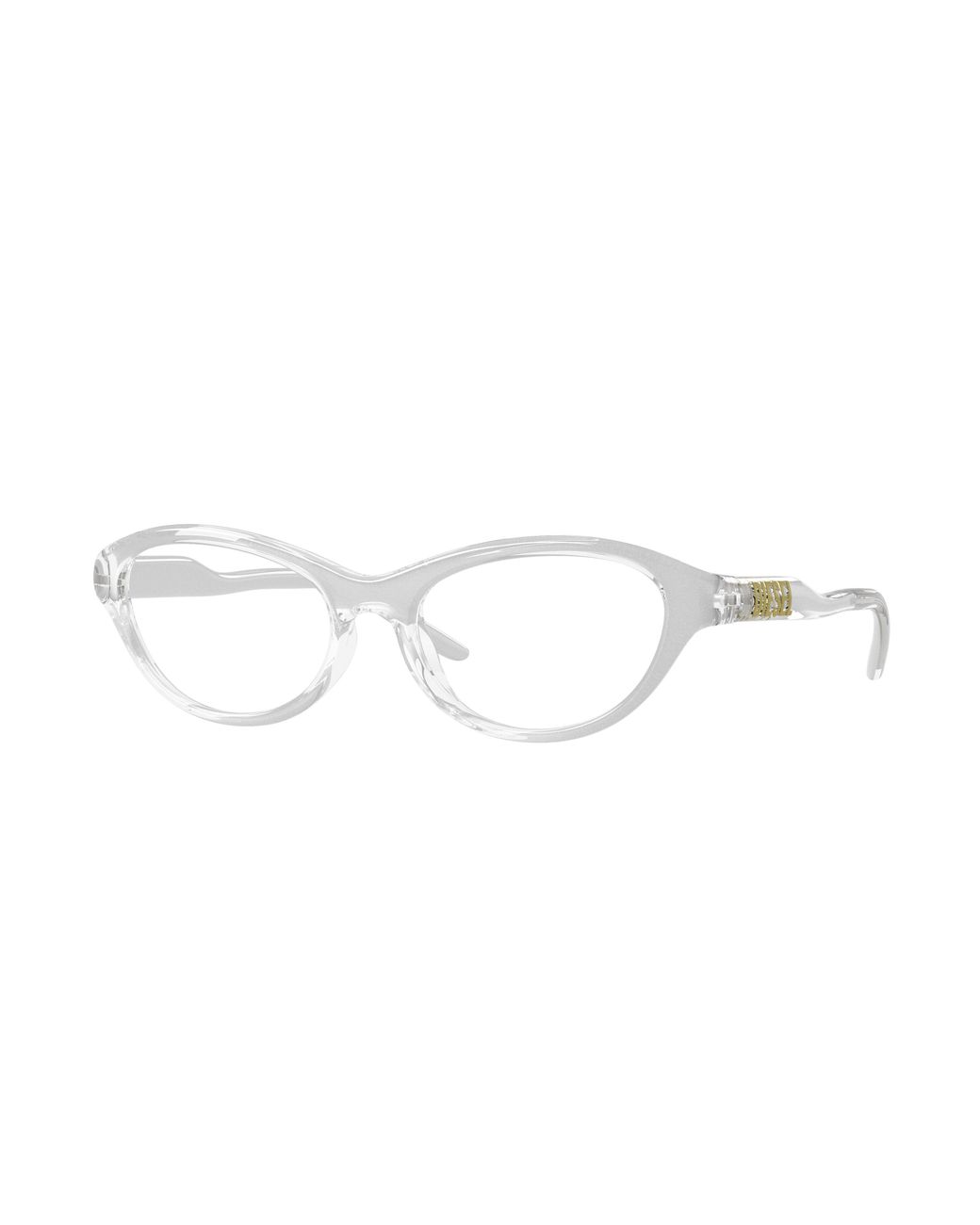 DIESEL Black Dl6013U 2029 Optical Frames Injected Transparent Cat Eye Normal