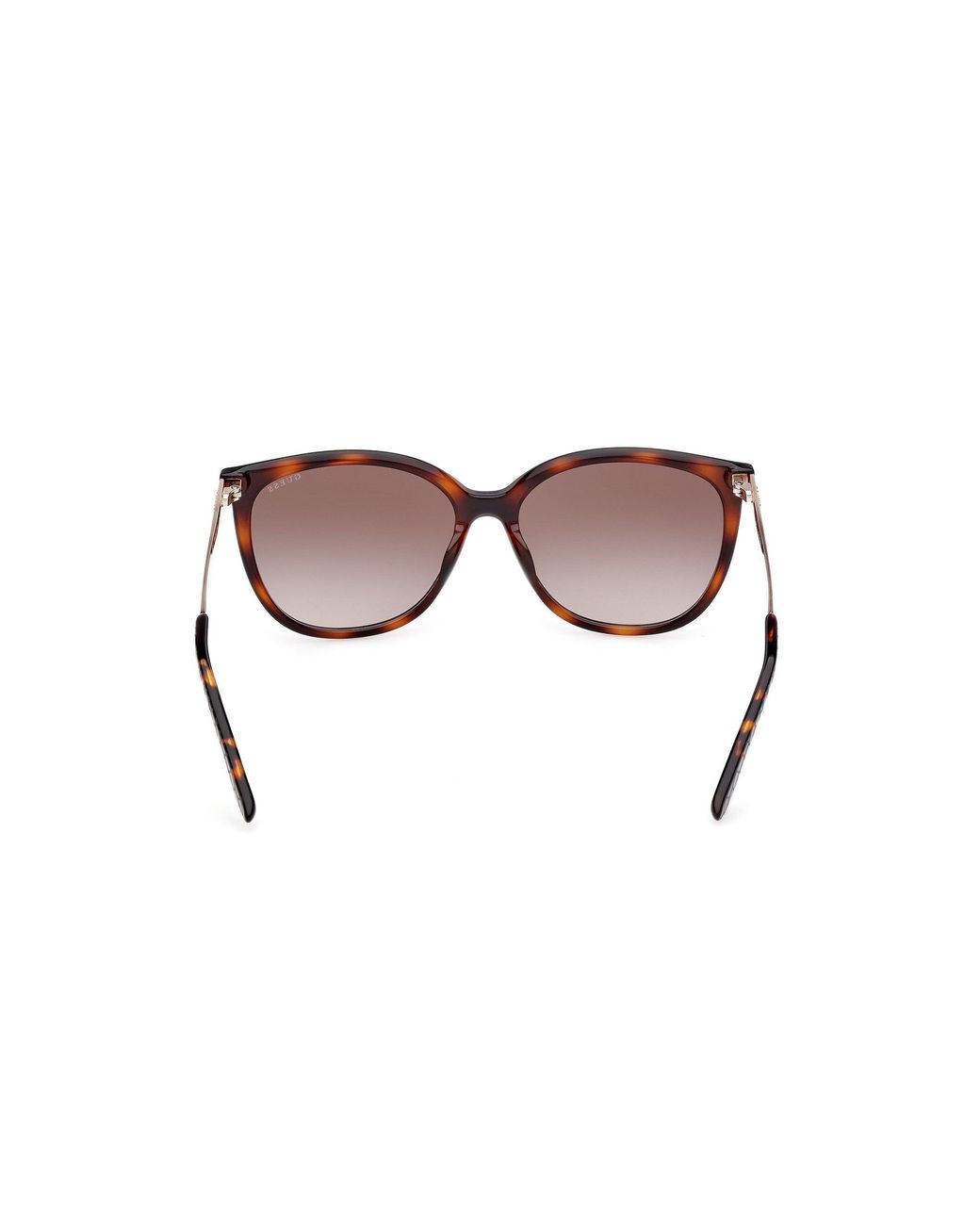 Guess Black Gu00150-H 52F Sunglasses Injected Marrone Squared Normal Sfumato