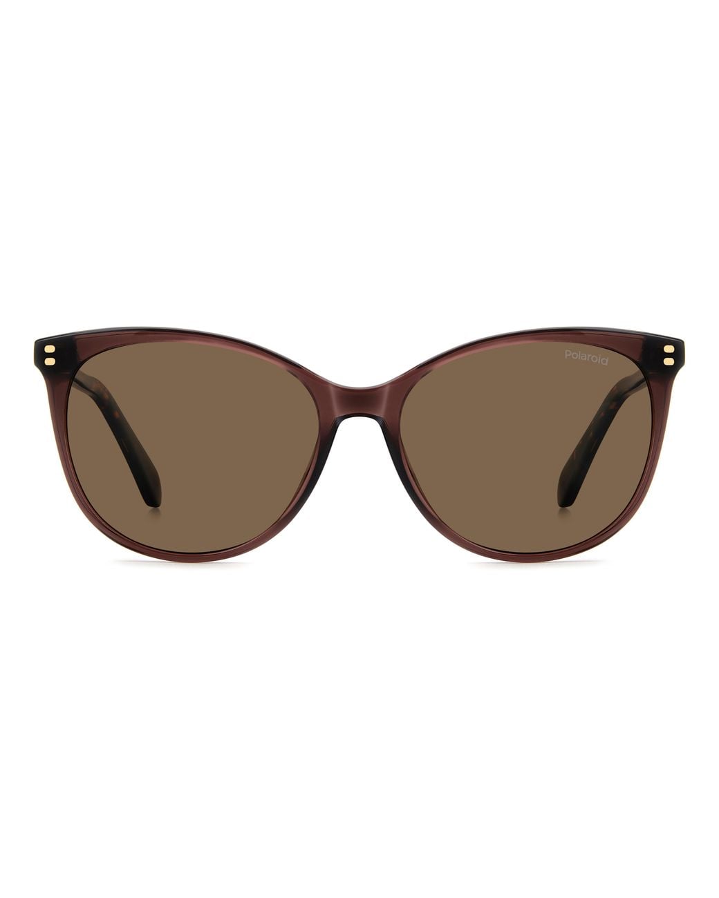 Polaroid Black Pld 4200/S/X 09Q/Sp Sunglasses Acetate Cat Eye Polarized