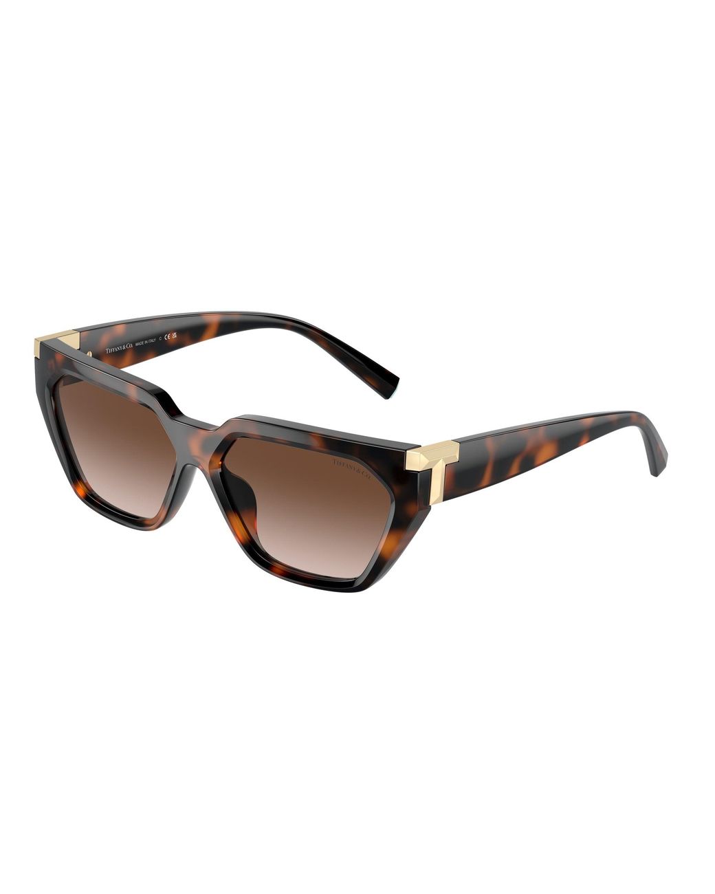 Tiffany & Co Black Tf4205U 80153B Sunglasses Injected Geometric Normal Shaded
