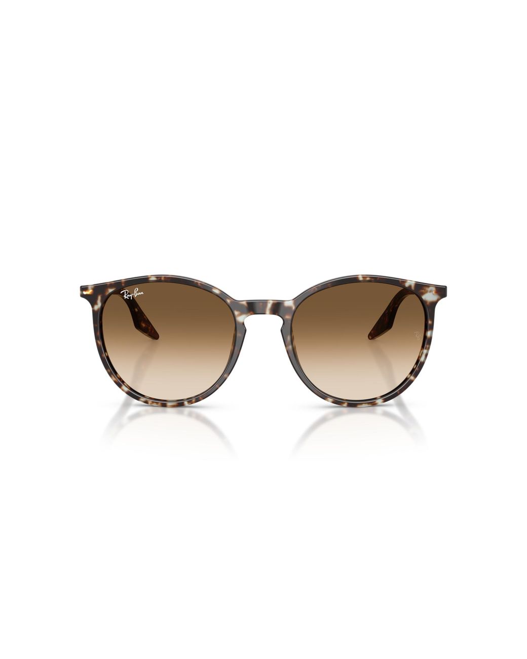 Ray-Ban Black Rb2204 Sunglasses