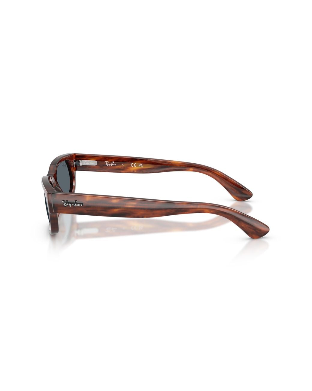 Ray-Ban Black Ray