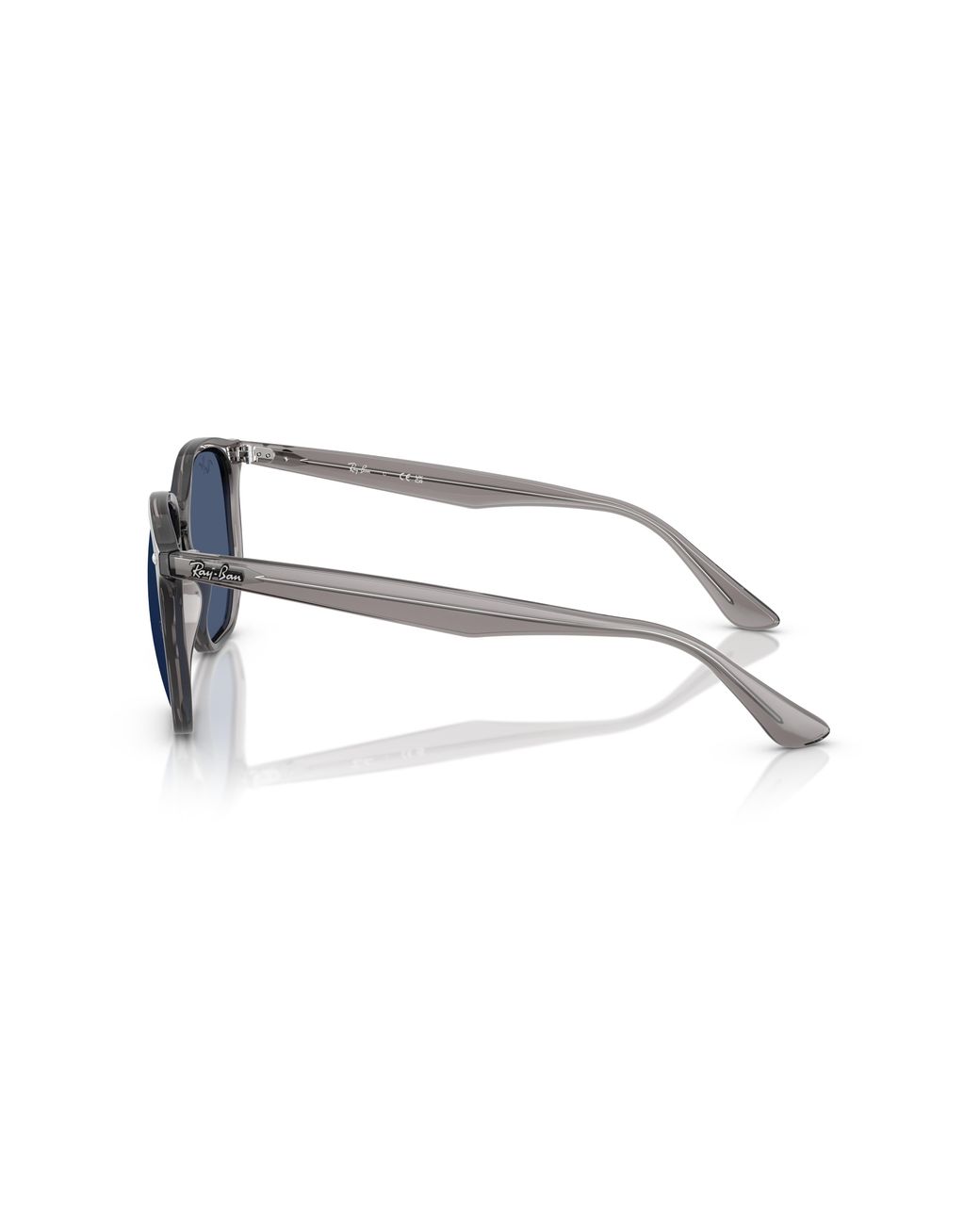 Ray-Ban Black Ray