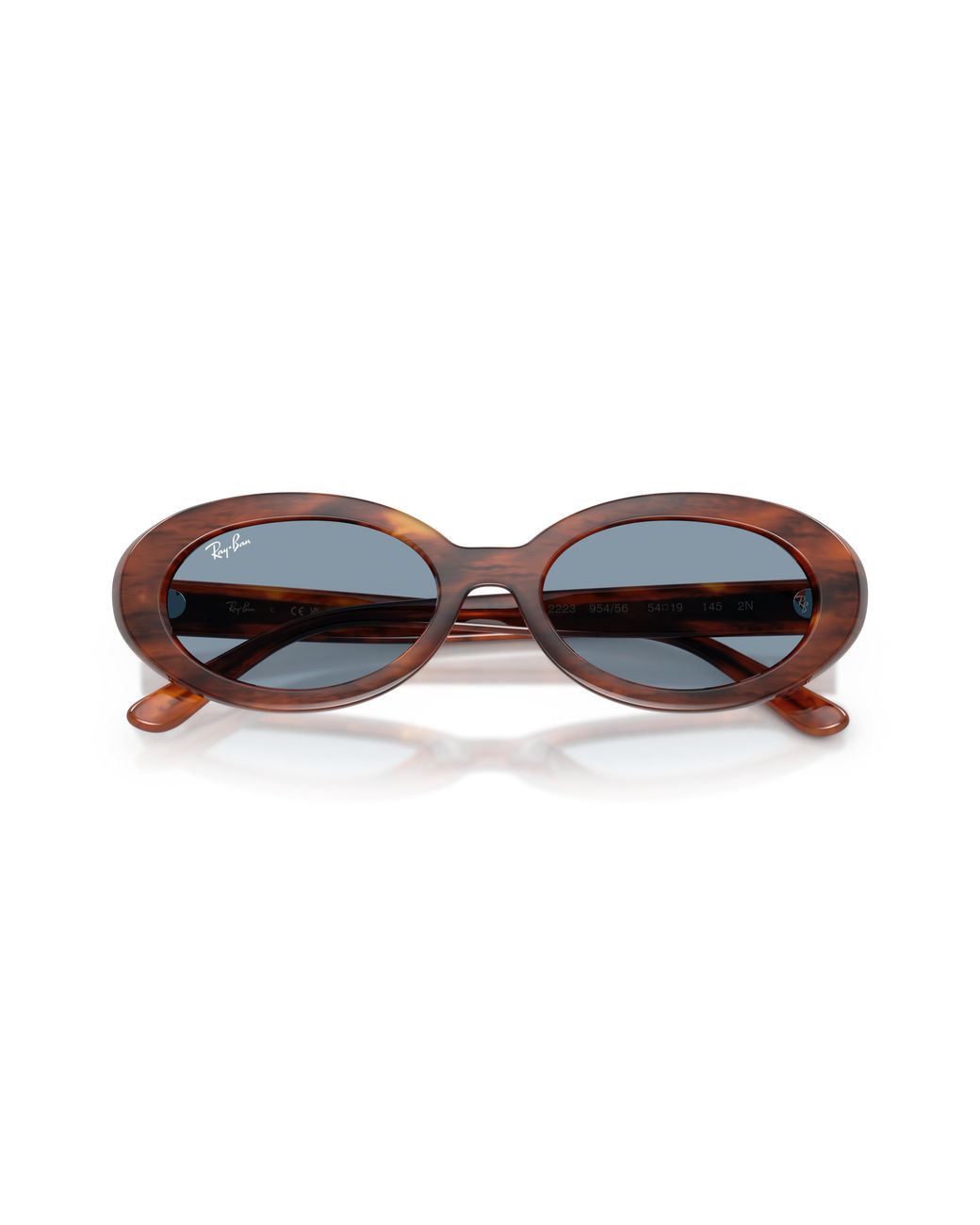 Ray-Ban Black Sunglasses Woman Rb2223