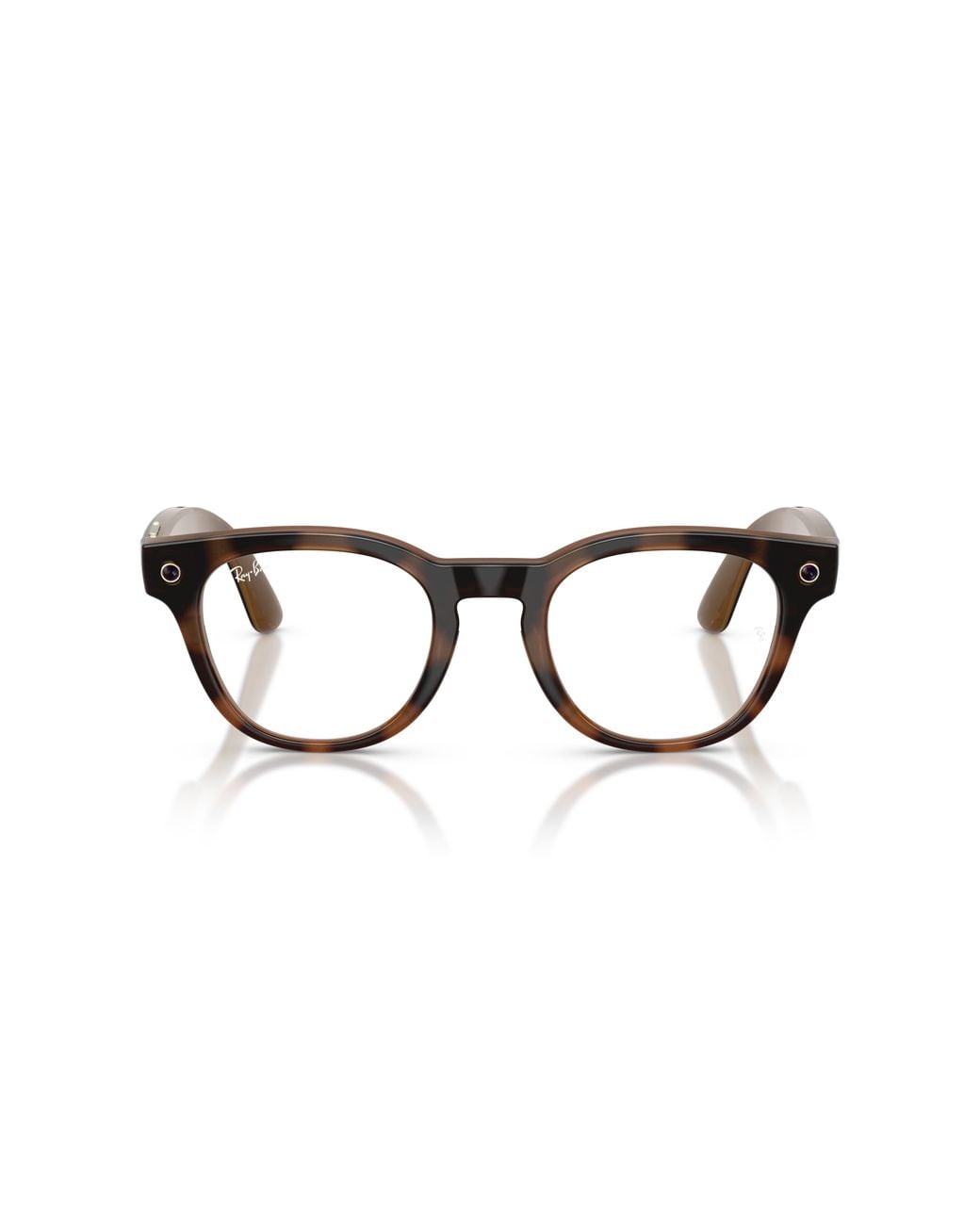 Ray-Ban Black Ray
