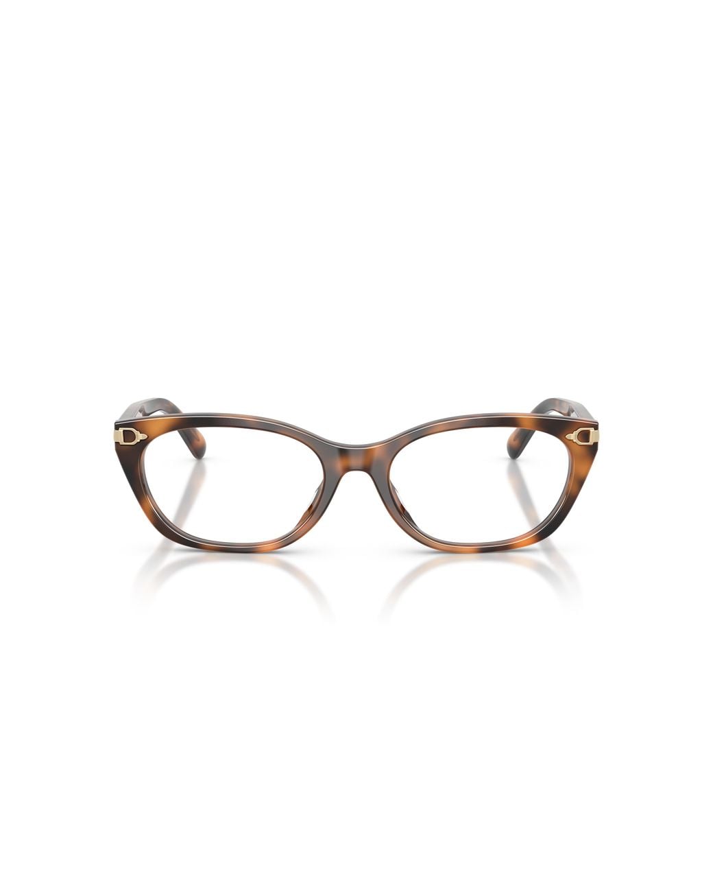 Ralph Lauren Black Rl6268U 6089 Optical Frames Acetate Transparent Cat Eye Normal