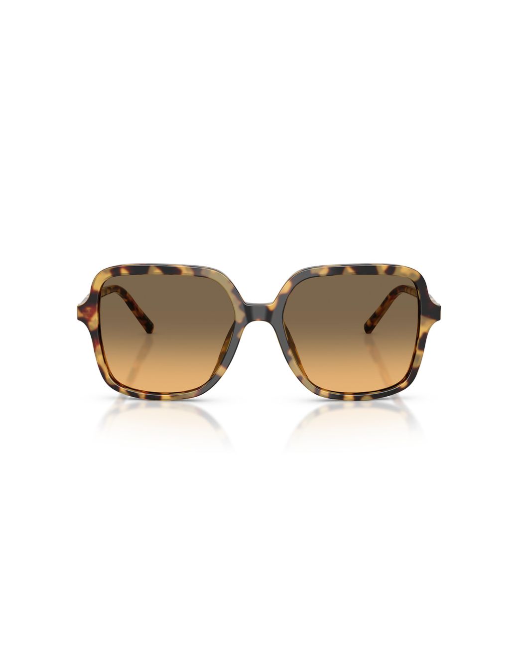 Dolce & Gabbana Black Dg4539 512/11 Sunglasses Acetate Squared Normal Nuanced