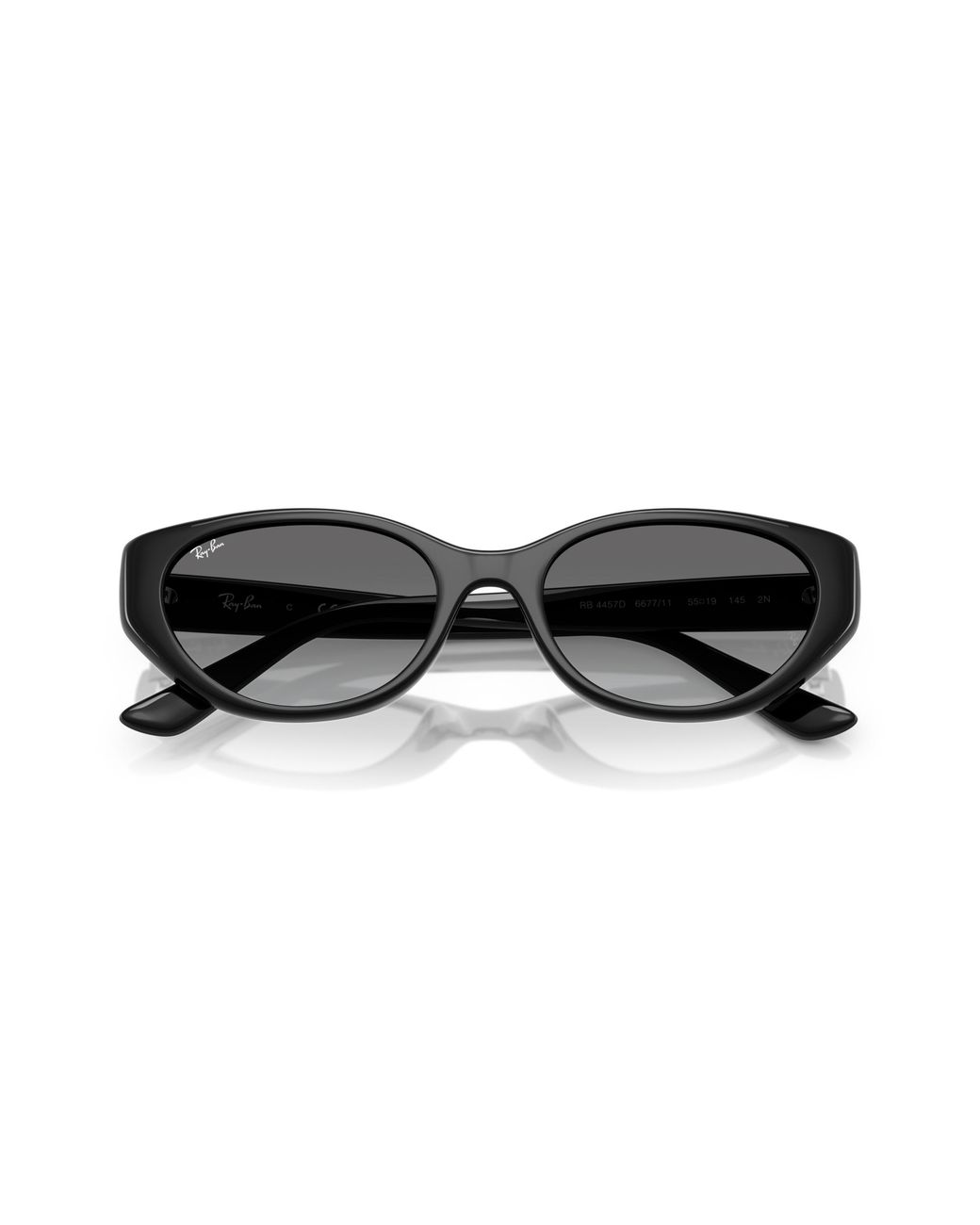Ray-Ban Black Ray
