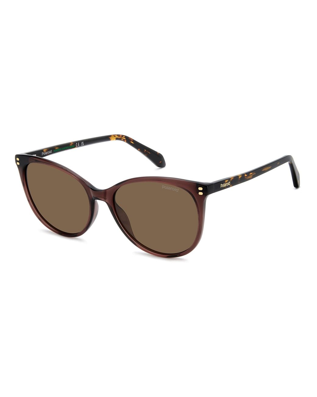 Polaroid Black Pld 4200/S/X 09Q/Sp Sunglasses Acetate Cat Eye Polarized