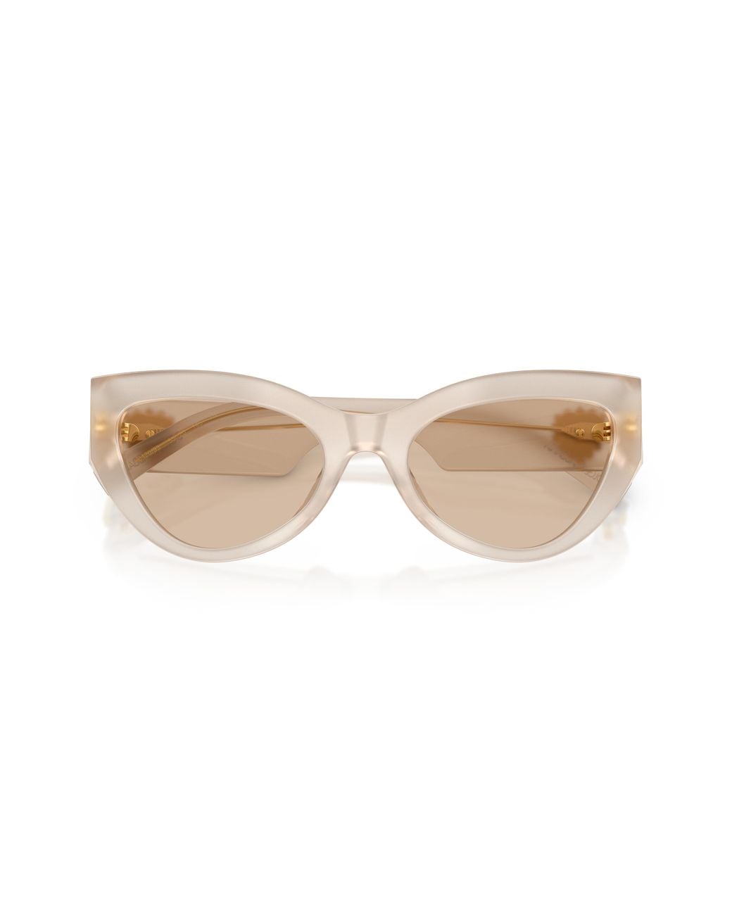 Dolce & Gabbana Black Dg4536 342093 Sunglasses Acetate Cat Eye Normal