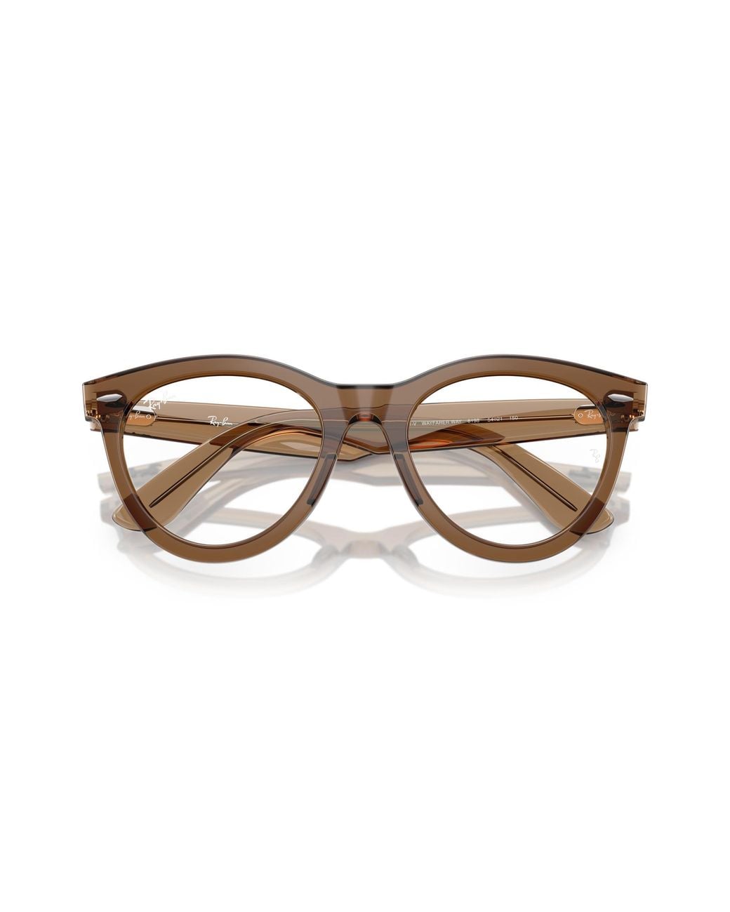 Ray-Ban Black Ray