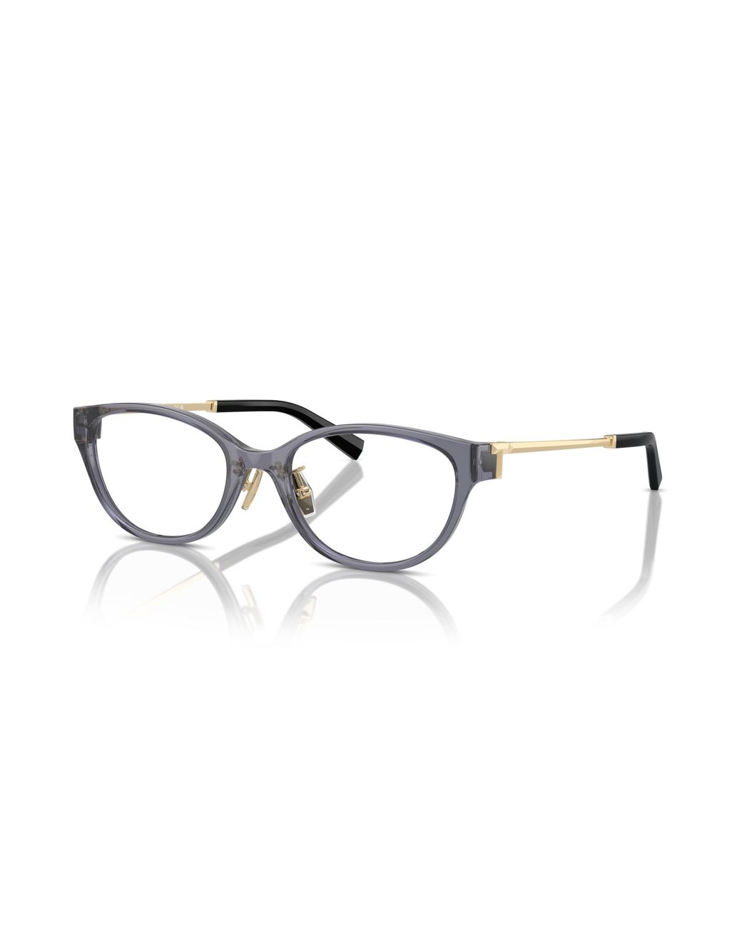 Tiffany & Co Black Tf2252D 8405 Optical Frames Injected Round Normal