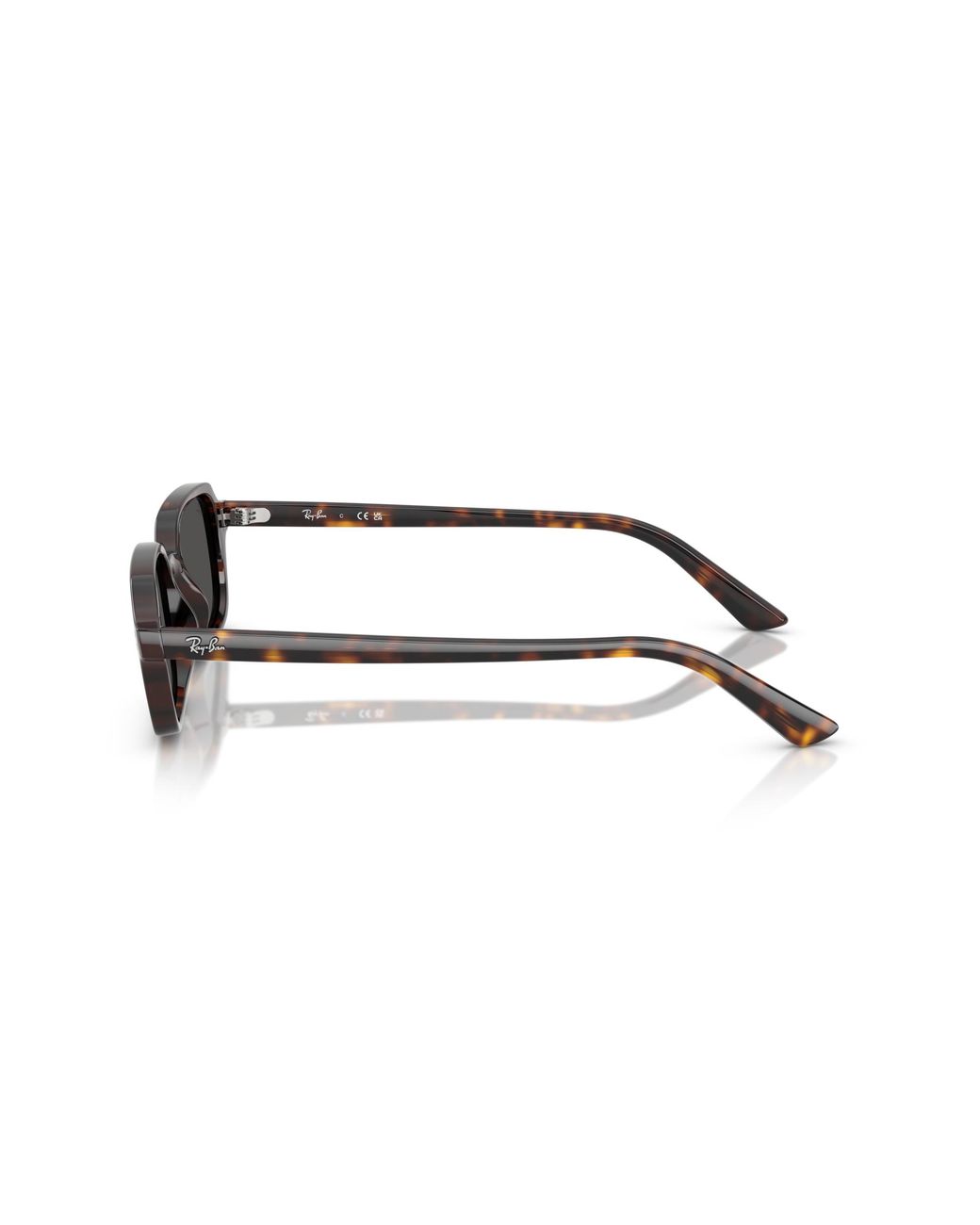 Ray-Ban Black Ray