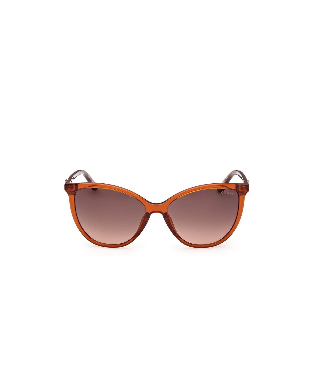 Guess Black Gu00256 44F Sunglasses Injected Cat Eye Normal