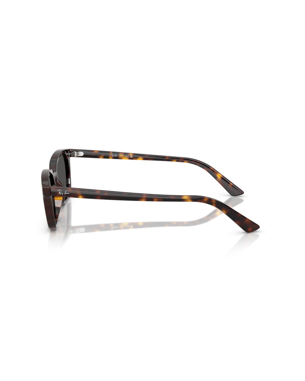 Ray-Ban Black Ray