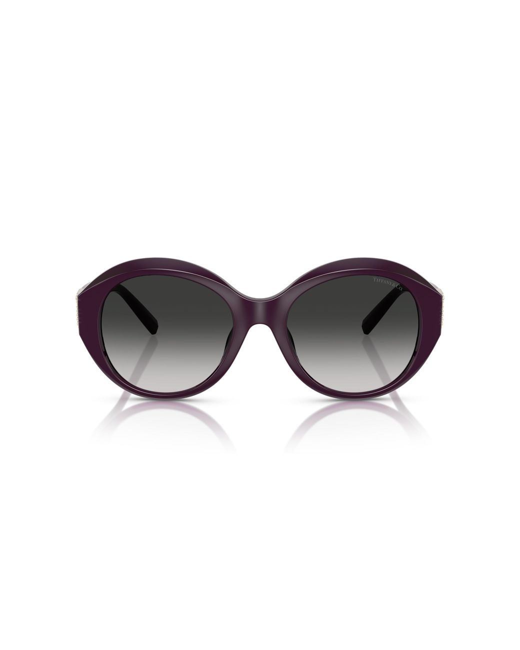 Tiffany & Co Black Tf4227Bu 84273C Sunglasses Injected Round Normal Shaded