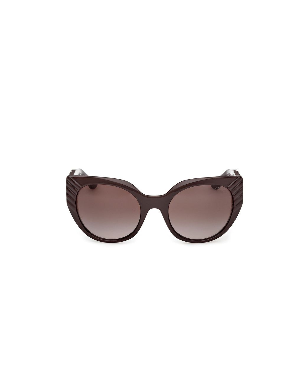 Guess Black Gu00255 48F Sunglasses Injected Cat Eye Normal