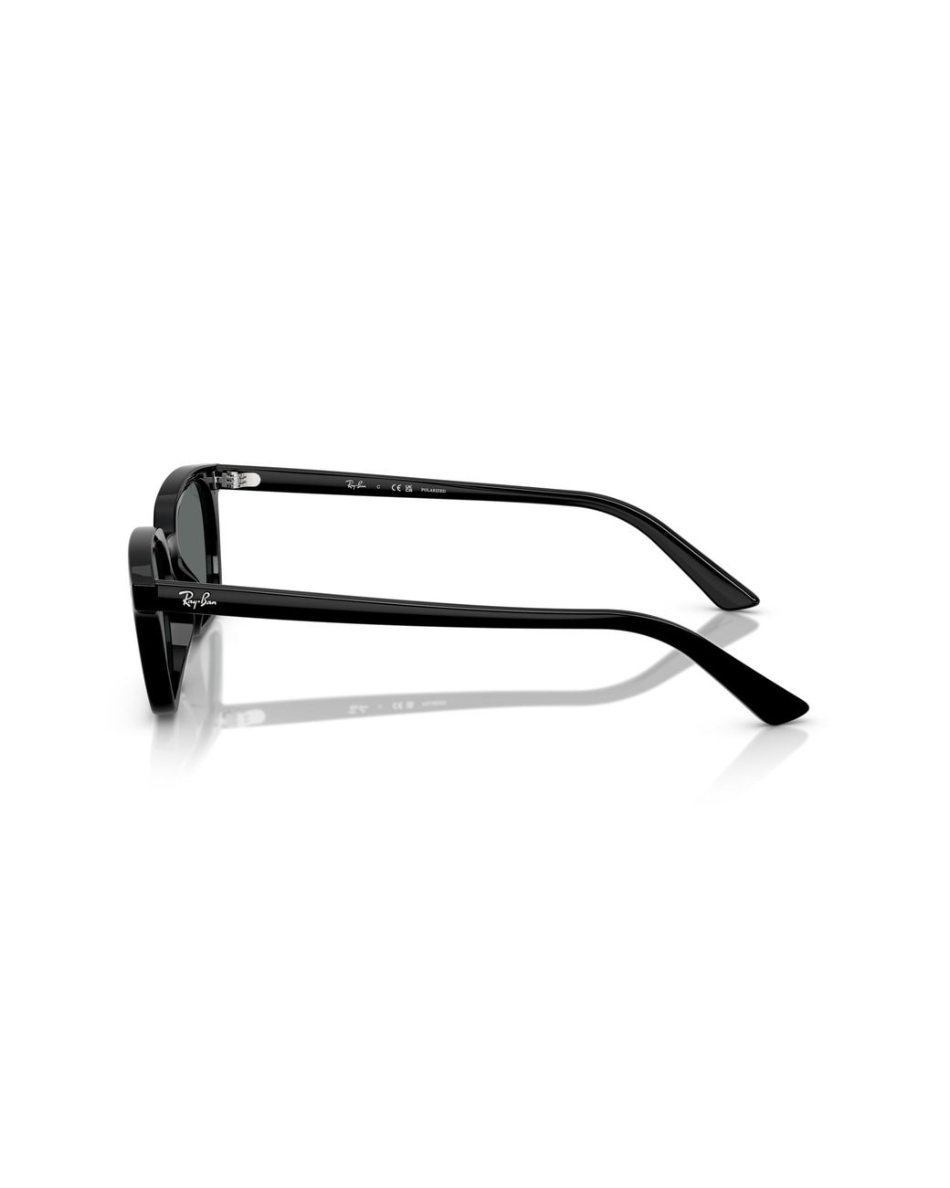 Ray-Ban Black Ray