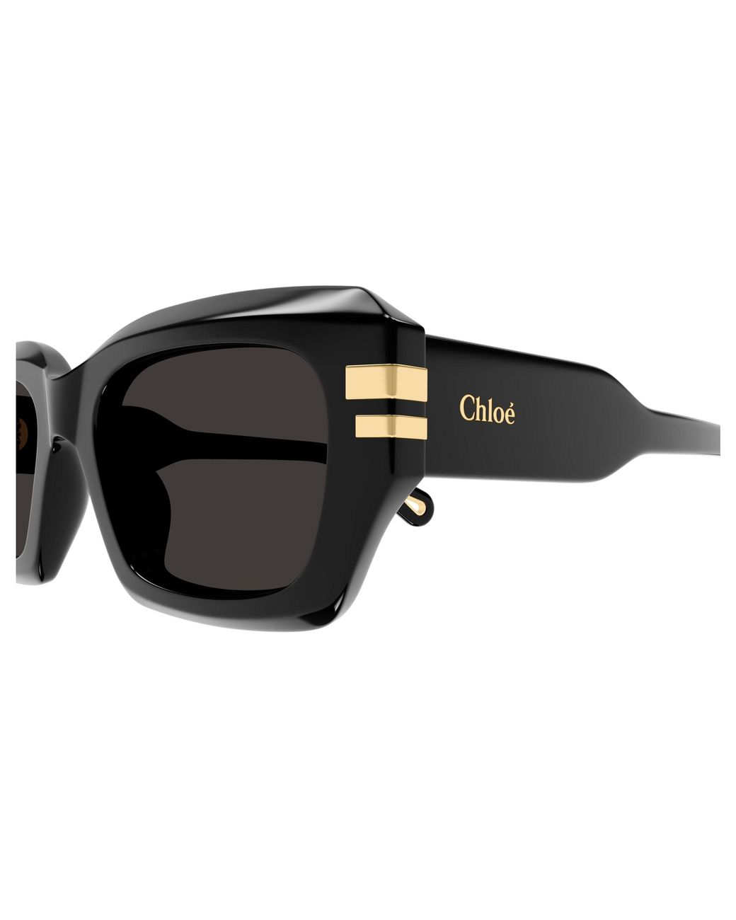 Chloé Black Ch0256S 001 Sunglasses Acetate Squared