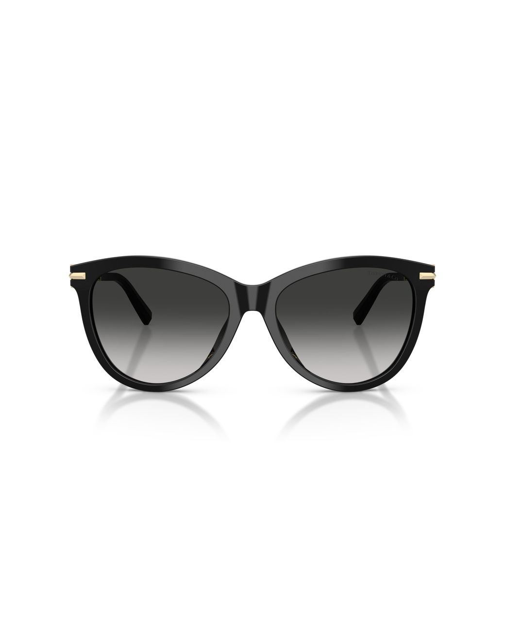 Tiffany & Co Black Tf4258Bu 80013C Sunglasses Acetate Pantos Normal Nuanced