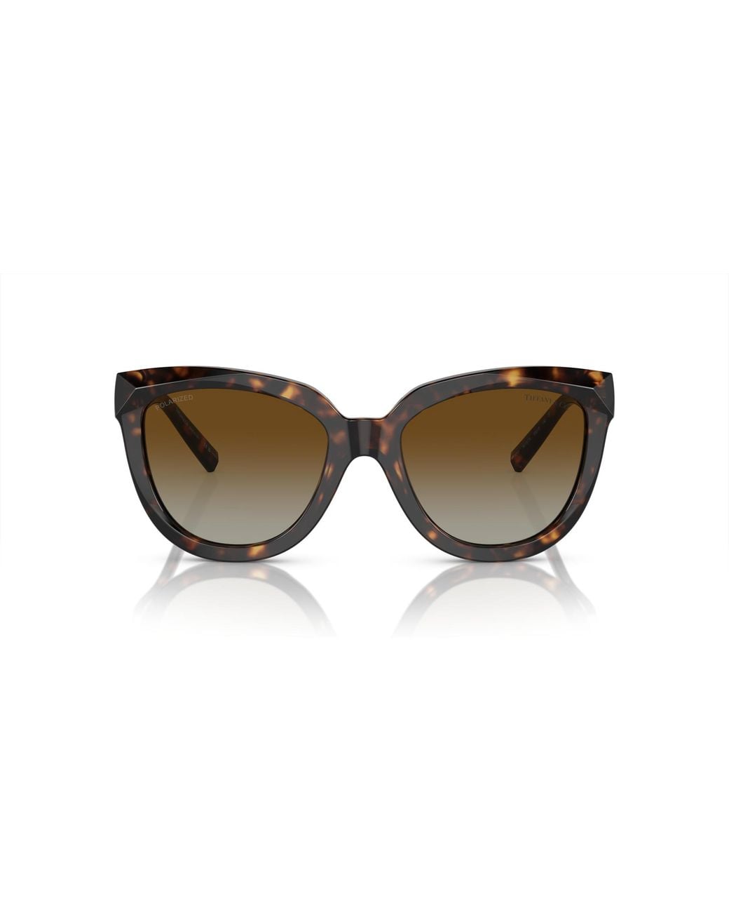 Tiffany & Co Black Tf4215 8015T5 Sunglasses Acetate Cat Eye Polarized Shaded
