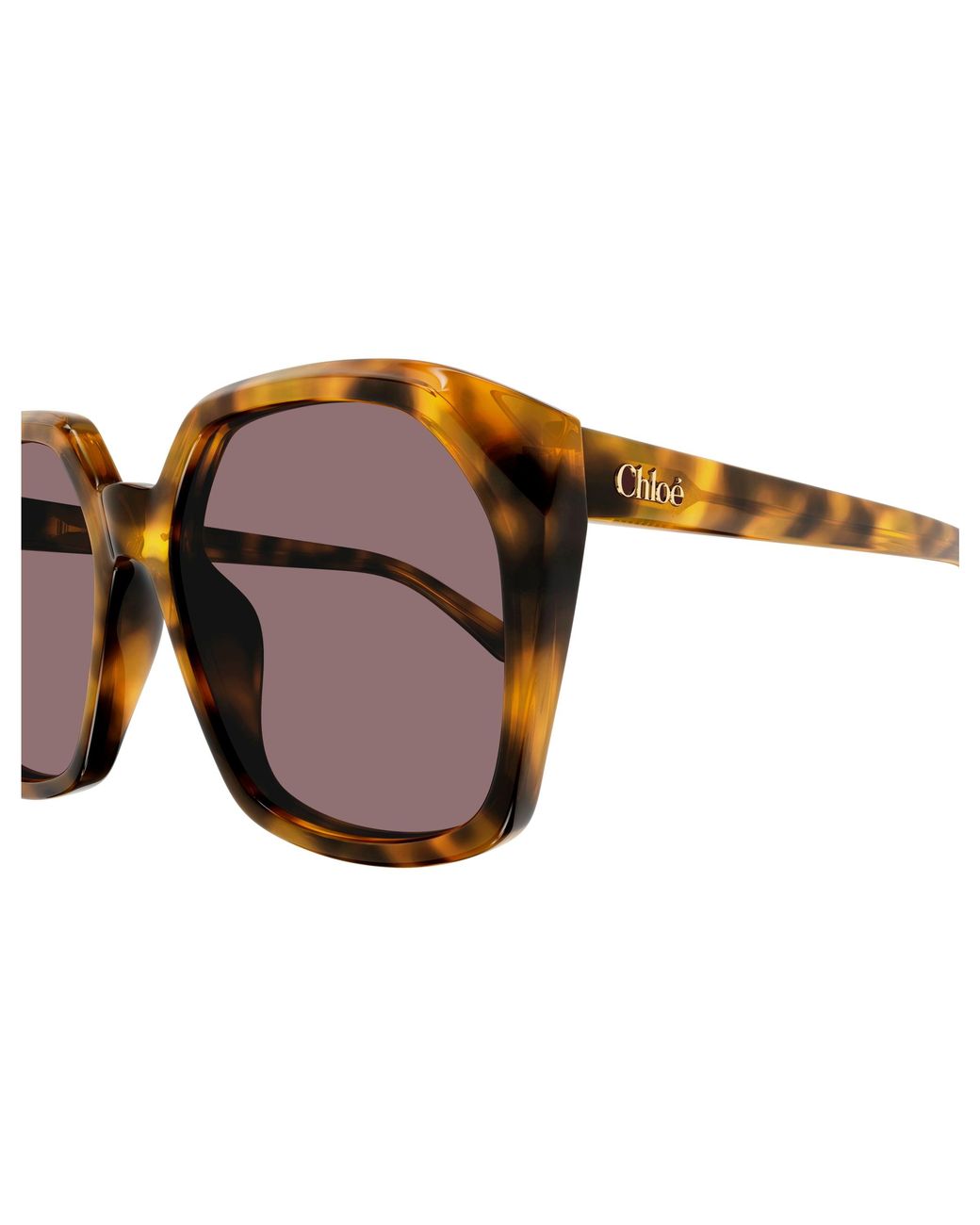 Chloé Black Ch0280S 004 Sunglasses Acetate Squared
