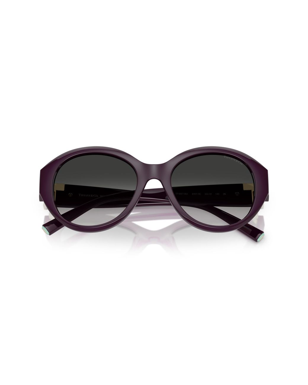 Tiffany & Co Black Tf4227Bu 84273C Sunglasses Injected Round Normal Shaded