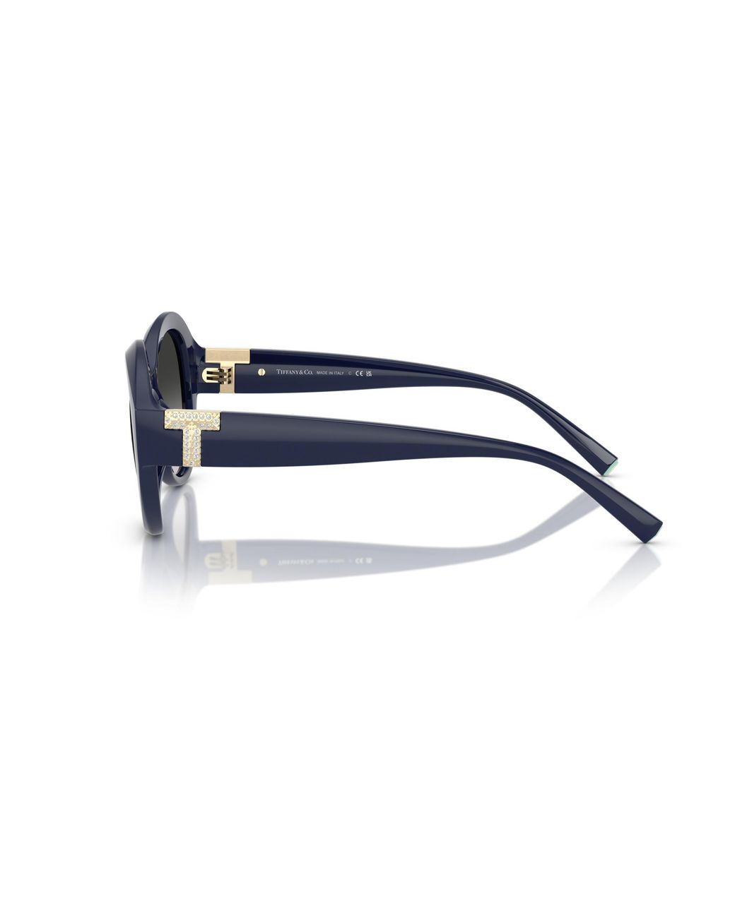 Tiffany & Co Black Tf4227Bu 83963C Sunglasses Injected Round Normal Shaded