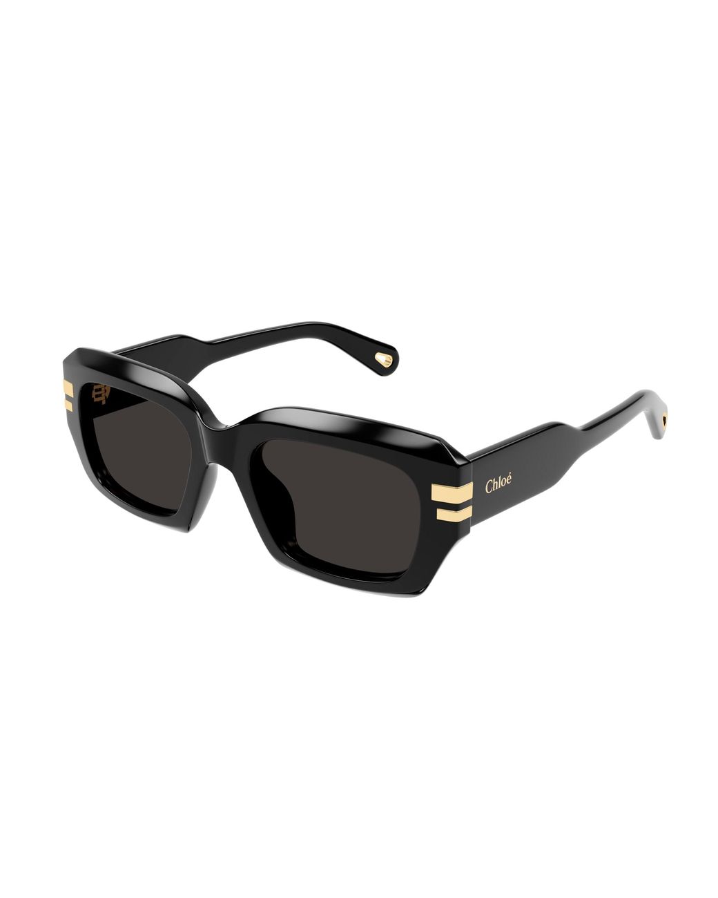 Chloé Black Ch0256S 001 Sunglasses Acetate Squared