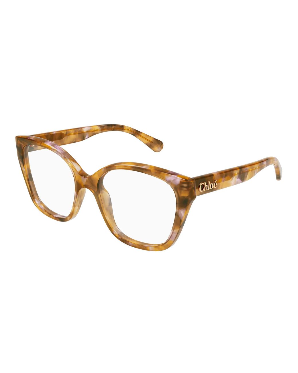 Chloé Black Ch0241O 006 Optical Frames Acetate Transparent Cat Eye