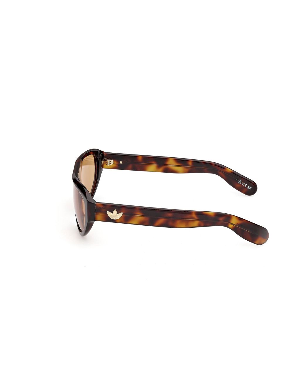 Adidas Originals Black Or0146 53E Sunglasses Acetate Pilot Normal